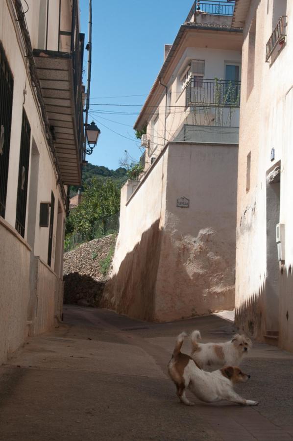 Casa Beatles Del Valle Pinos del Valle Luaran gambar